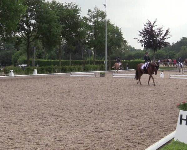Reitturnier Fröndenberg 2020