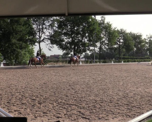 Reitturnier Fröndenberg 2020
