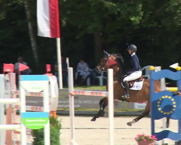 Reitturnier Grafenrheinfeld/Ufr. 2020