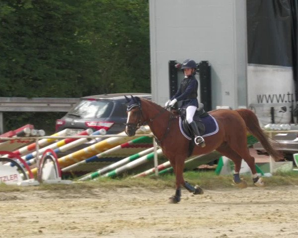 Reitturnier Heiligenwald 2020