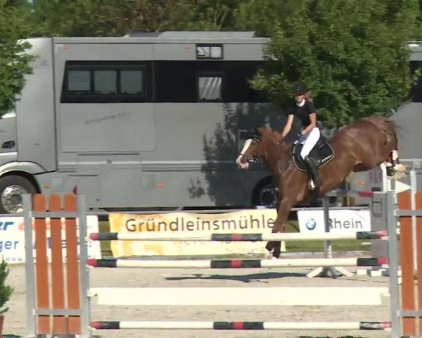 Reitturnier Grafenrheinfeld/Ufr. 2020