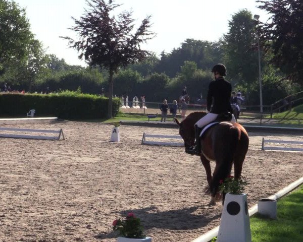 Reitturnier Fröndenberg 2020