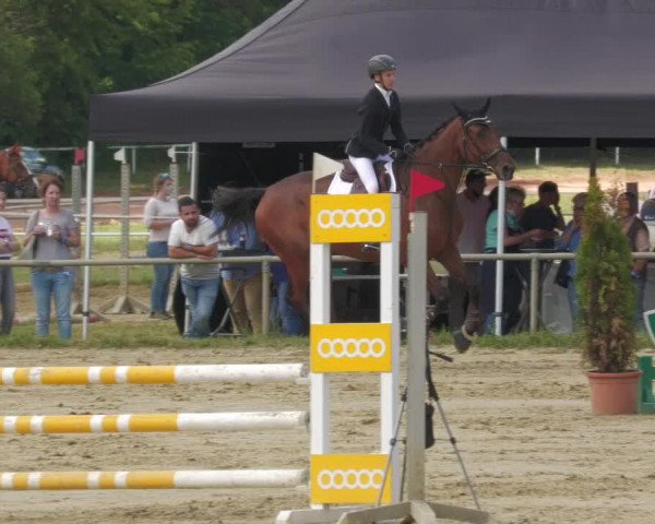 Reitturnier Heiligenwald 2020