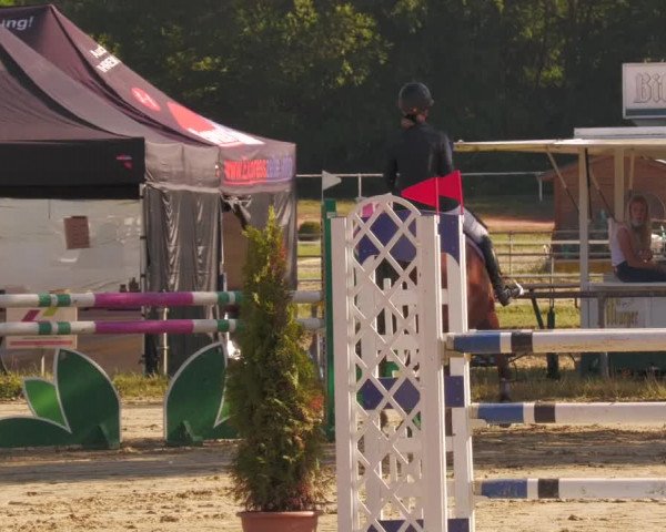 Reitturnier Heiligenwald 2020