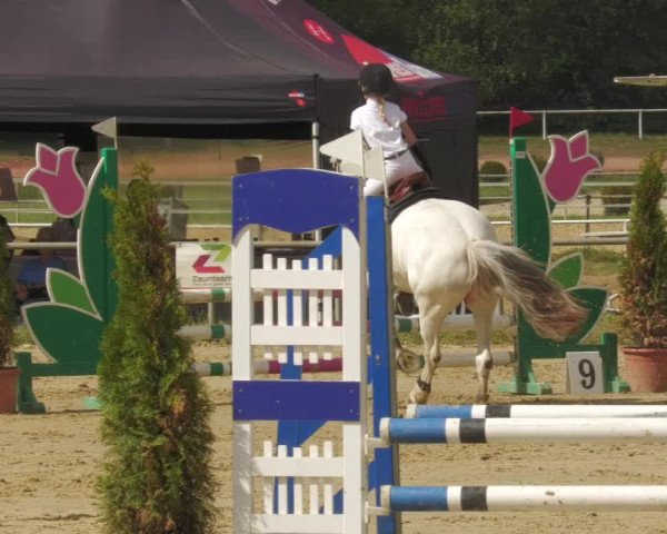 Reitturnier Heiligenwald 2020