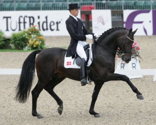 stallion Helenenhof's Carabas (Holsteiner, 1998, from Carnaby GL)
