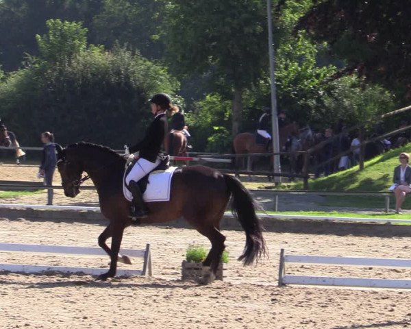 Reitturnier Fröndenberg 2020