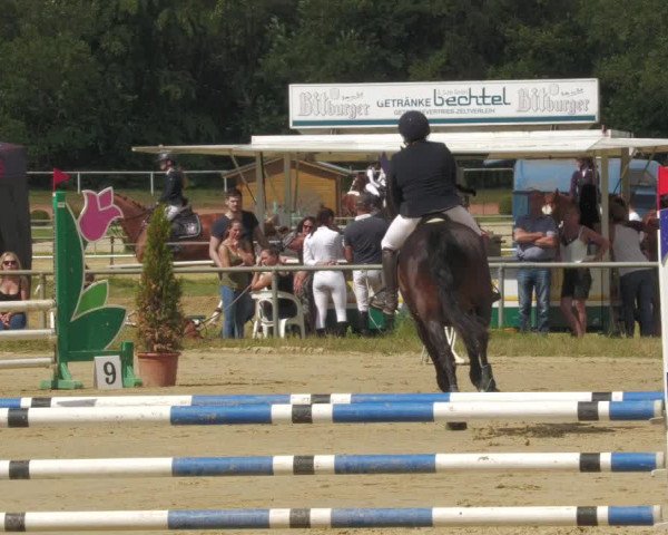 Reitturnier Heiligenwald 2020