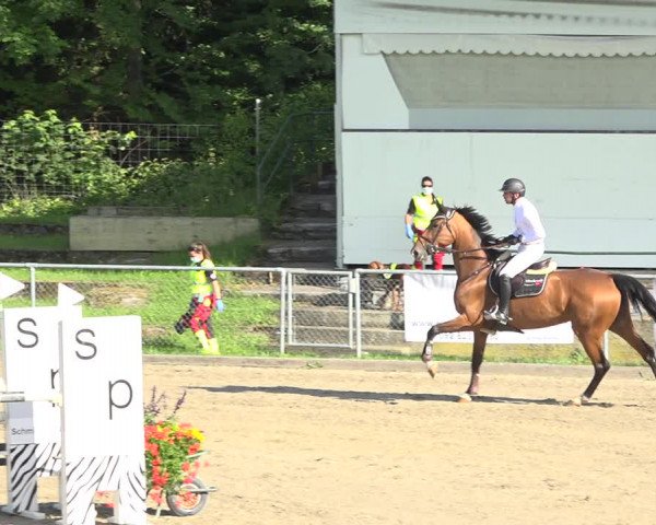 Reitturnier Schaffhausen 2020