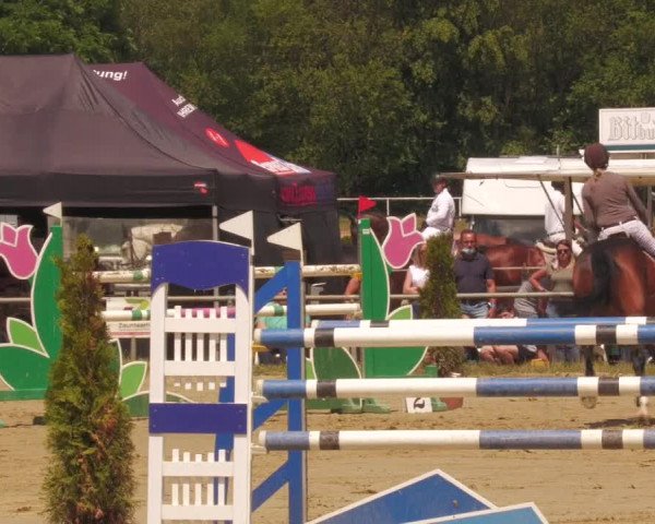 Reitturnier Heiligenwald 2020