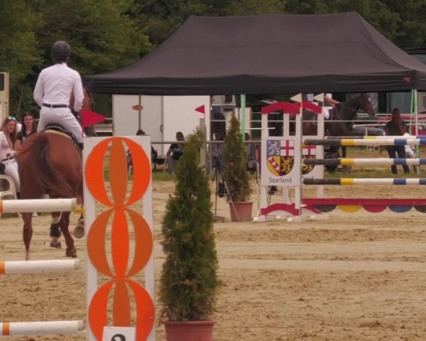 Reitturnier Heiligenwald 2020
