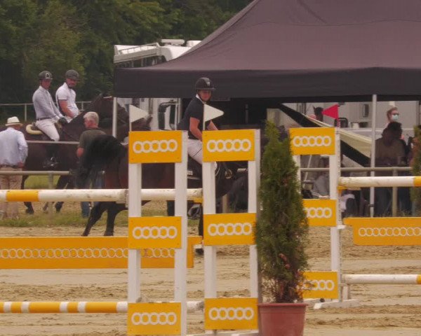Reitturnier Heiligenwald 2020