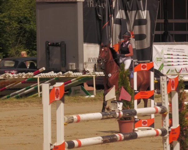 Reitturnier Heiligenwald 2020