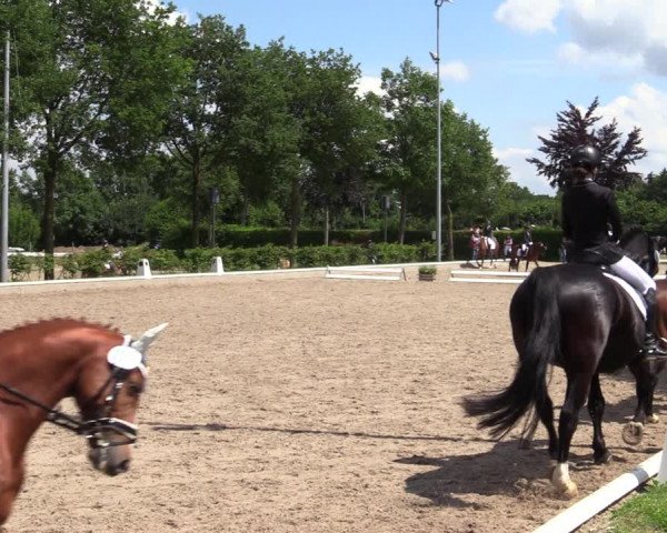 Reitturnier Fröndenberg 2020
