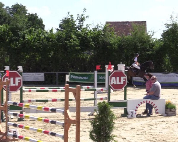 Reitturnier Fröndenberg 2020