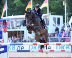 stallion Catoki Boy (Holsteiner, 2010, from Catoki)