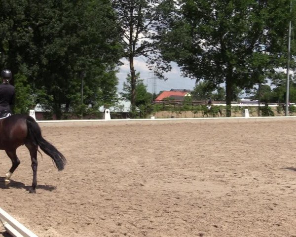 Reitturnier Fröndenberg 2020
