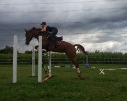 jumper Miss Penypany (unknown, 2005)