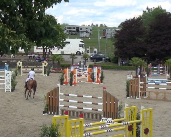 Reitturnier Wipperfürth-Kreuzberg 2020