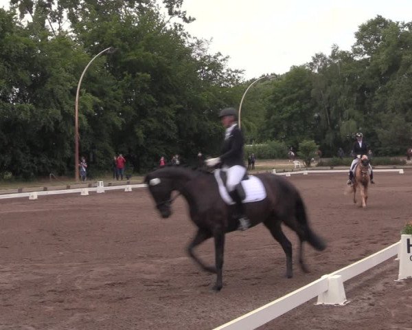 Reitturnier Dallgow 2020