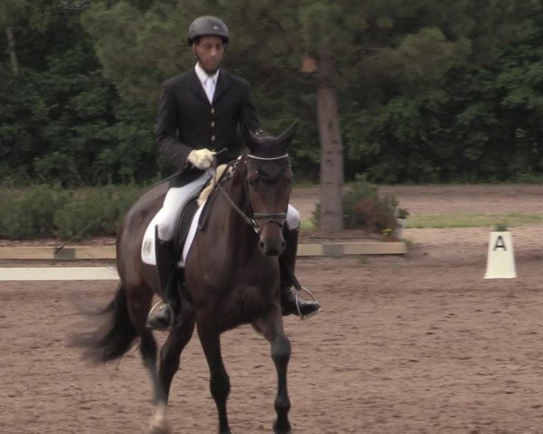 Reitturnier Dallgow 2020