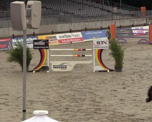 Reitturnier CSI** Westergellersen 2020