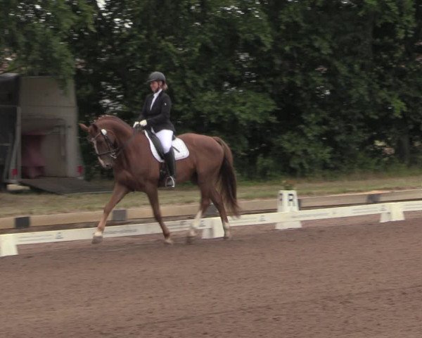 Reitturnier Dallgow 2020