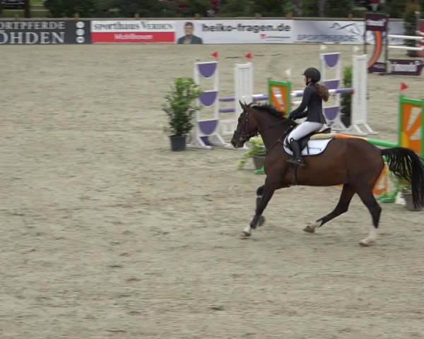 Reitturnier Westergellersen 2021