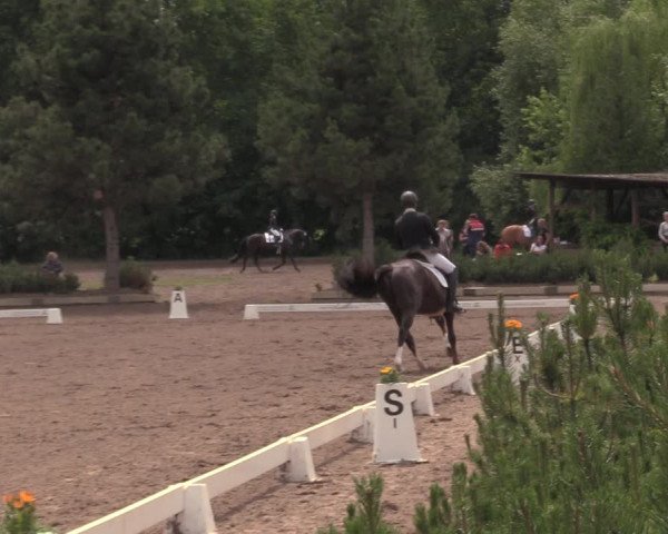 Reitturnier Dallgow 2020