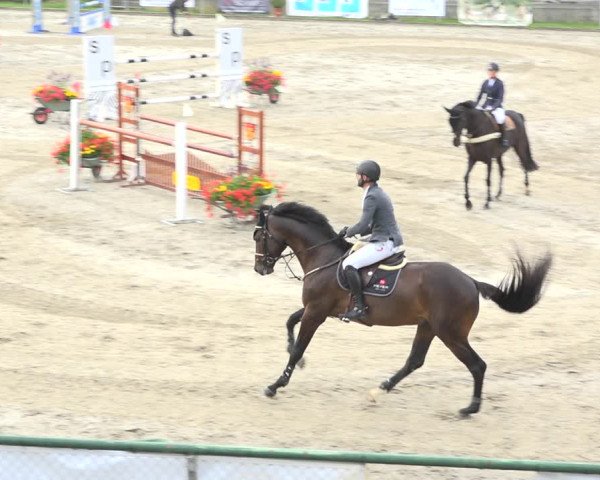 Reitturnier Schaffhausen 2020