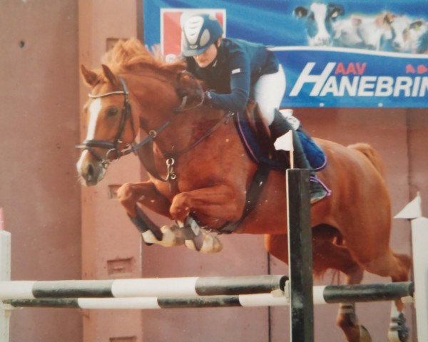 jumper Polysee (German Warmblood, 2006, from Polypur)