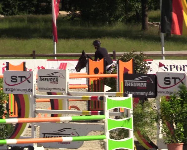 Reitturnier CSI** Westergellersen 2020