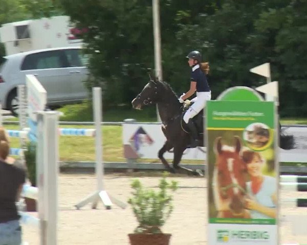 Reitturnier Grafenrheinfeld/Ufr. 2020