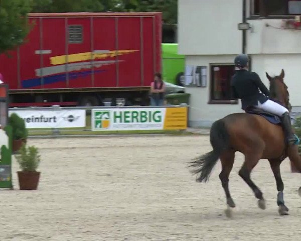 Reitturnier Grafenrheinfeld/Ufr. 2020