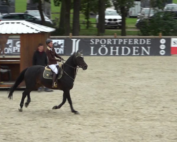 Reitturnier Westergellersen 2021