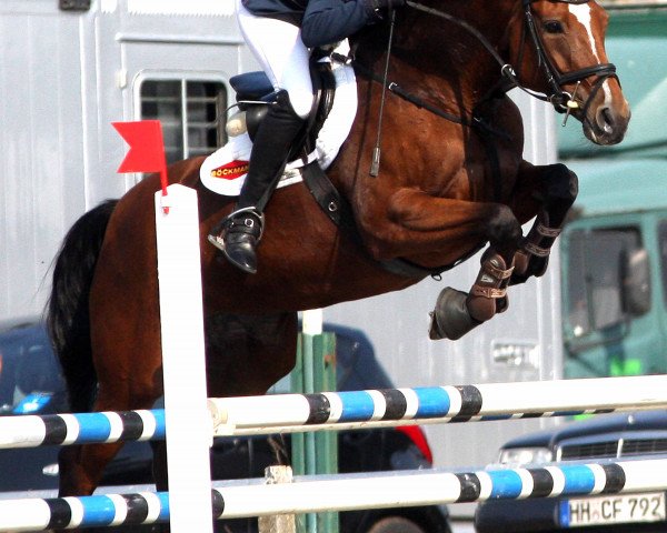 broodmare Galisee I (German Warmblood, 2002, from Poltergeist)