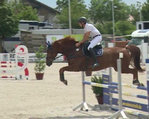 Reitturnier Grafenrheinfeld/Ufr. 2020
