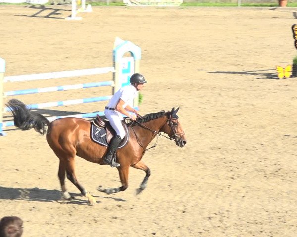 Reitturnier Schaffhausen 2020