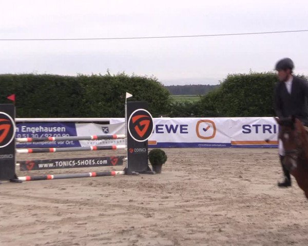 Reitturnier Niedernstöcken 2020