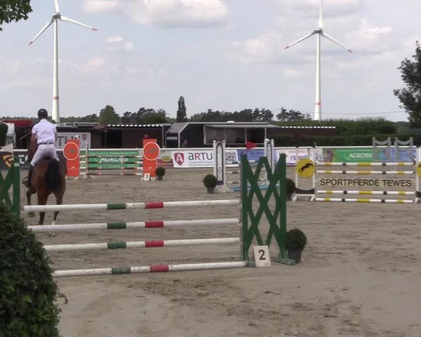 Reitturnier Niedernstöcken 2020
