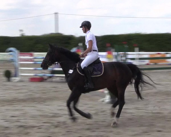 Reitturnier Niedernstöcken 2020