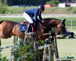 jumper Angelotti (KWPN (Royal Dutch Sporthorse), 2005, from Indoctro)
