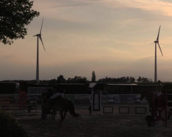 Reitturnier Niedernstöcken 2020