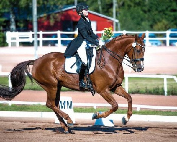 broodmare Recidee (Oldenburg, 2004, from Relevant)