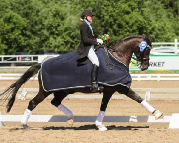 jumper Dragonheart (Hanoverian, 1991, from Dobrock)
