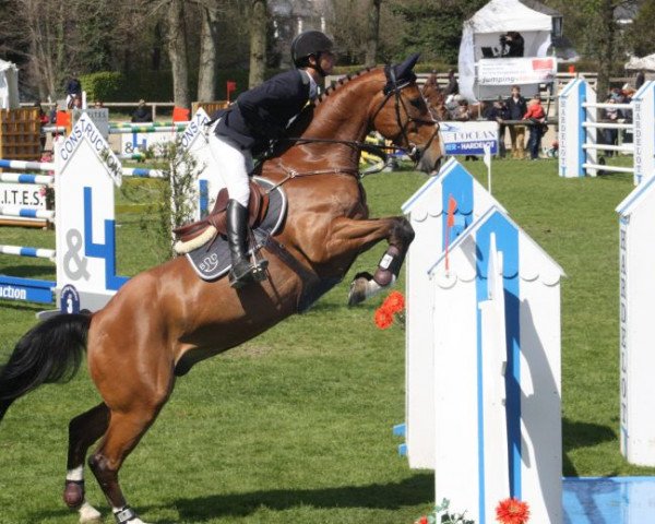 jumper Soleil de Cornu CH (Swiss Warmblood, 2006, from Qredo de Paulstra)