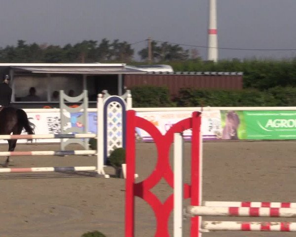 Reitturnier Niedernstöcken 2020