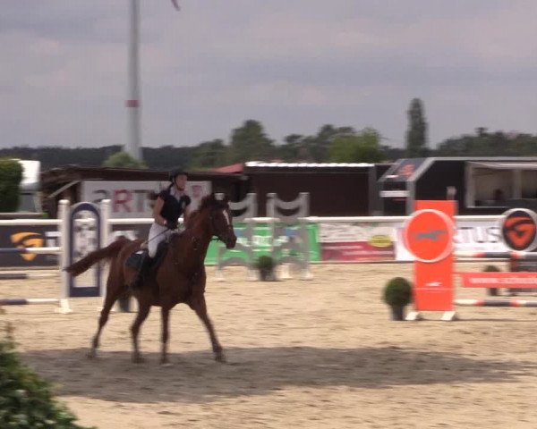 Reitturnier Niedernstöcken 2020