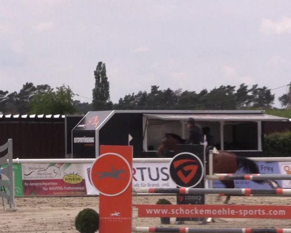 Reitturnier Niedernstöcken 2020