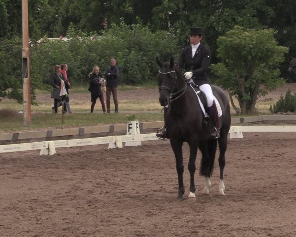 Reitturnier Dallgow 2020